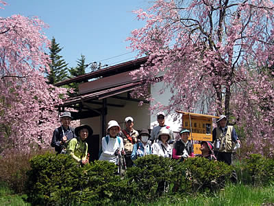 5月6日定例ウォーキング