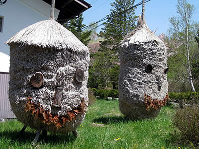 5月6日定例ウォーキング