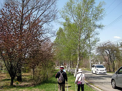 5月6日定例ウォーキング