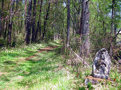 5月6日定例ウォーキング