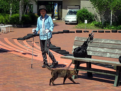 6月6日定例ウォーキング