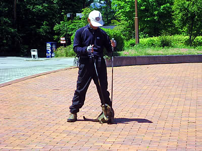 6月6日定例ウォーキング