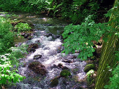 6月6日定例ウォーキング