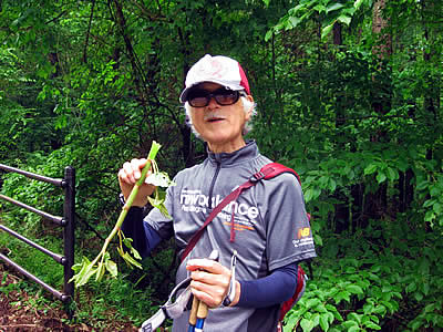 6月6日定例ウォーキング