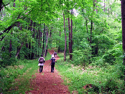 6月6日定例ウォーキング