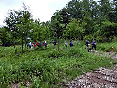7月4日定例ウォーキング
