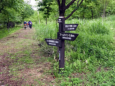 7月4日定例ウォーキング