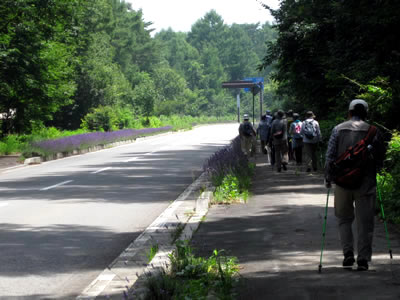 8月1日定例ウォーキング