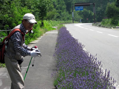 8月1日定例ウォーキング