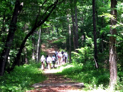 8月1日定例ウォーキング