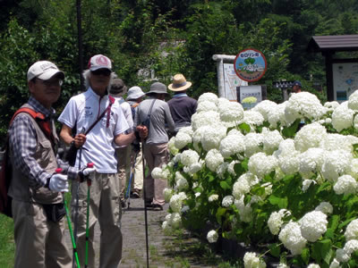 8月1日定例ウォーキング