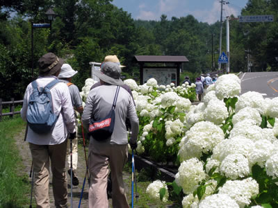 8月1日定例ウォーキング