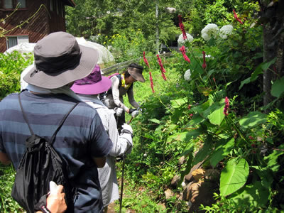 8月1日定例ウォーキング
