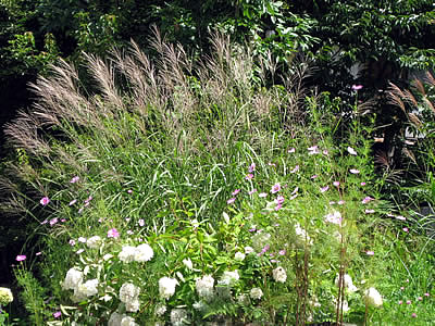 9月5日定例ウォーキング