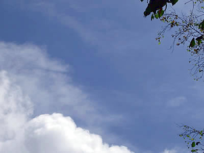 9月5日定例ウォーキング