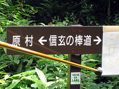 9月5日定例ウォーキング
