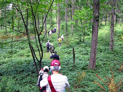 9月5日定例ウォーキング