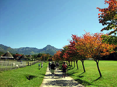 10月3日定例ウォーキング