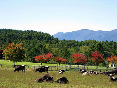 10月3日定例ウォーキング