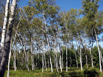 10月3日定例ウォーキング