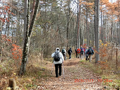 11月7日定例ウォーキング