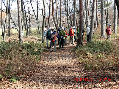 11月7日定例ウォーキング