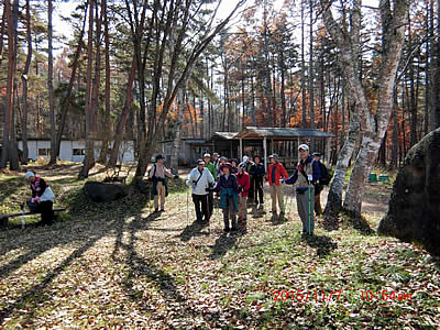 11月7日定例ウォーキング