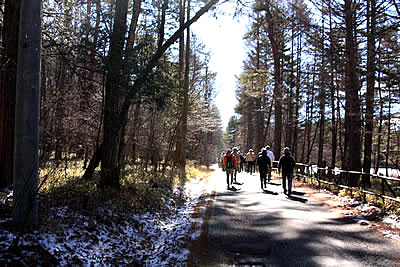 12月5日定例ウォーキング