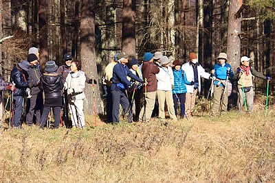 12月5日定例ウォーキング