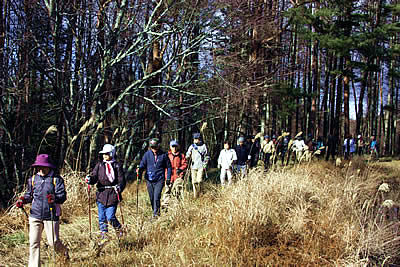 12月5日定例ウォーキング