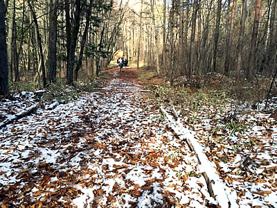 12月5日定例ウォーキング