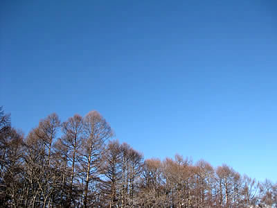 1月9日定例ウォーキング