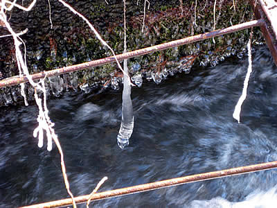 1月9日定例ウォーキング