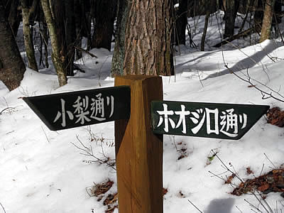 2月6日定例ウォーキング