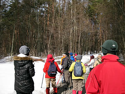 2月6日定例ウォーキング