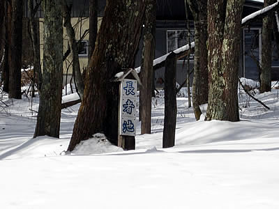 2月6日定例ウォーキング