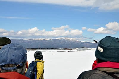 2月6日定例ウォーキング