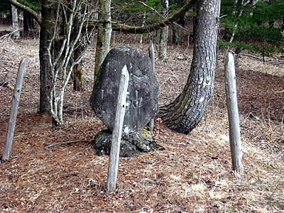 3月5日定例ウォーキング