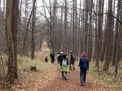 3月5日定例ウォーキング