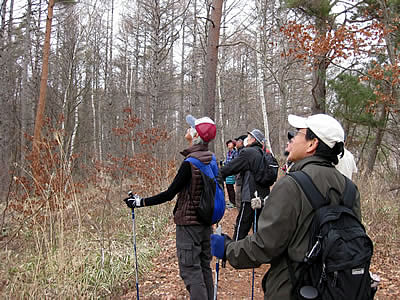 3月5日定例ウォーキング
