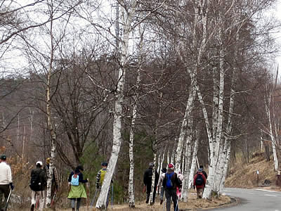 3月5日定例ウォーキング
