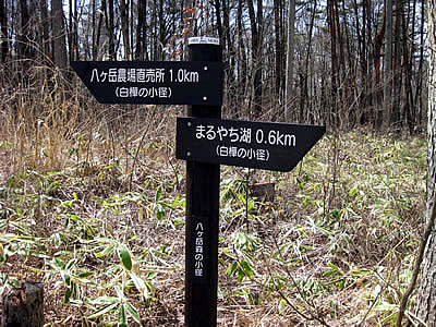 4月9日定例ウォーキング