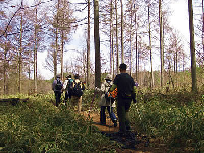 4月9日定例ウォーキング