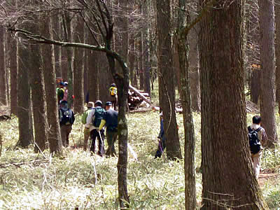 4月9日定例ウォーキング