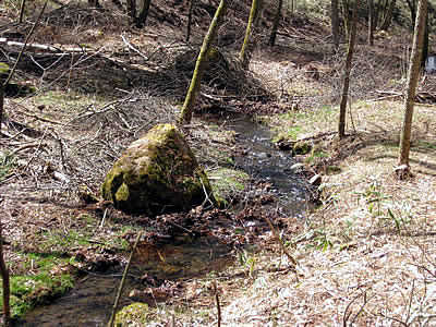 4月9日定例ウォーキング