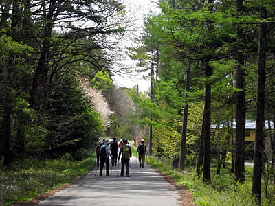 5月7日定例ウォーキング