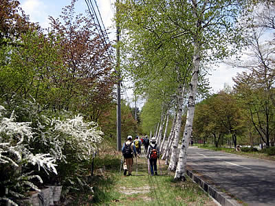 5月7日定例ウォーキング