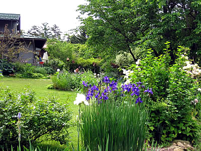 6月4日定例ウォーキング