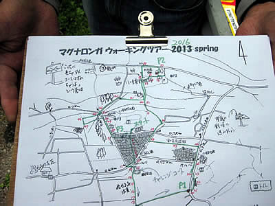6月4日定例ウォーキング