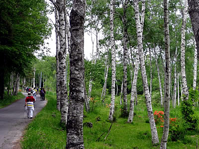6月4日定例ウォーキング